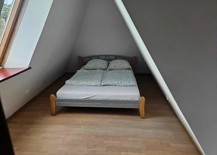 Alex Alloggio in famiglia Miedzyzdroje